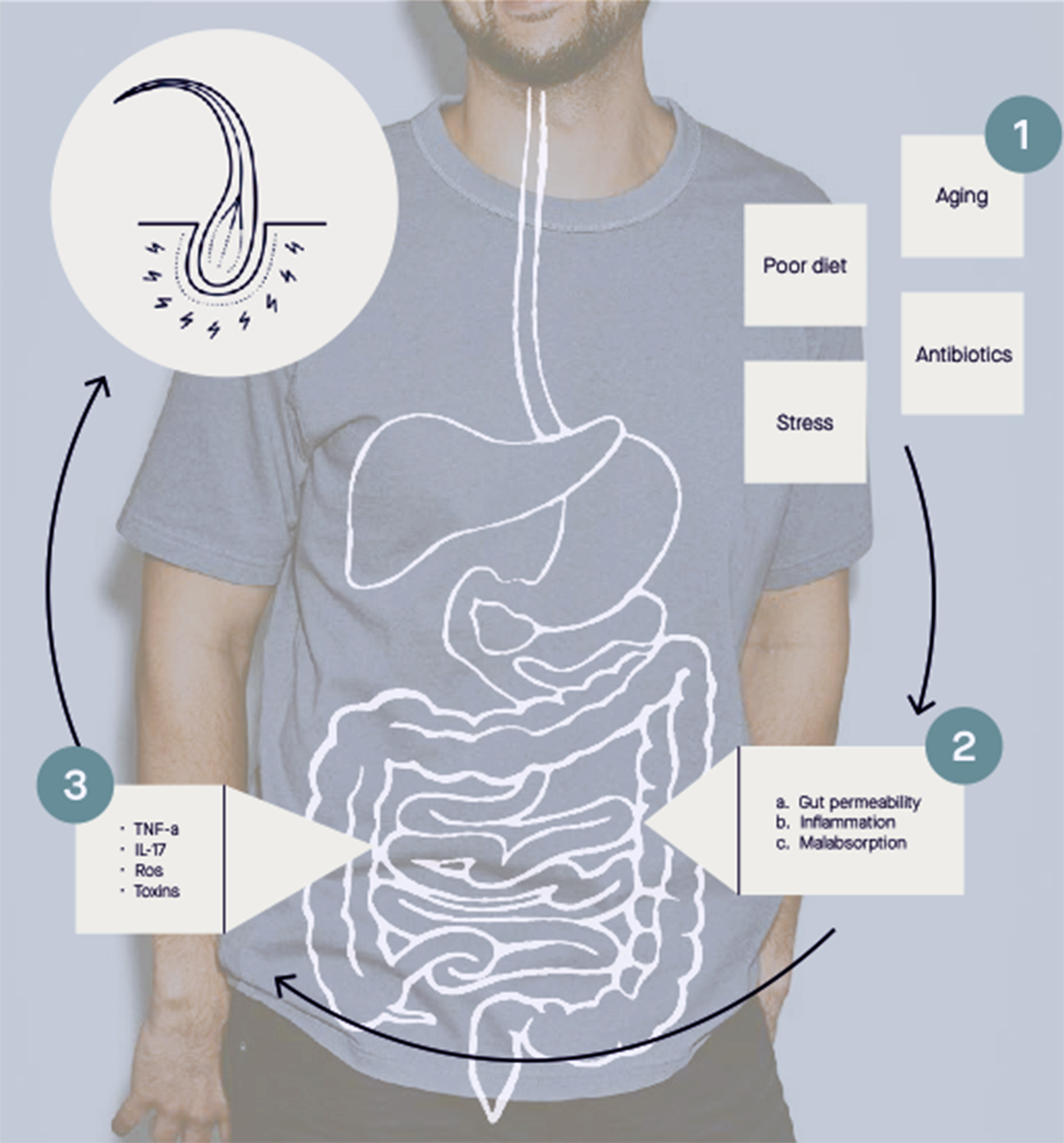 Nutrafol Hairbiotic MD — Bauman Medical